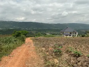 2 Registered Plots by Main Road for Sale-Pokhills