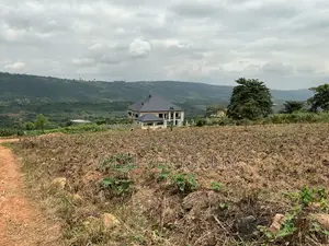 2 Registered Plots by Main Road for Sale-Pokhills
