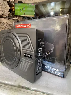 Subwoofer for Under Seat and Car Boot