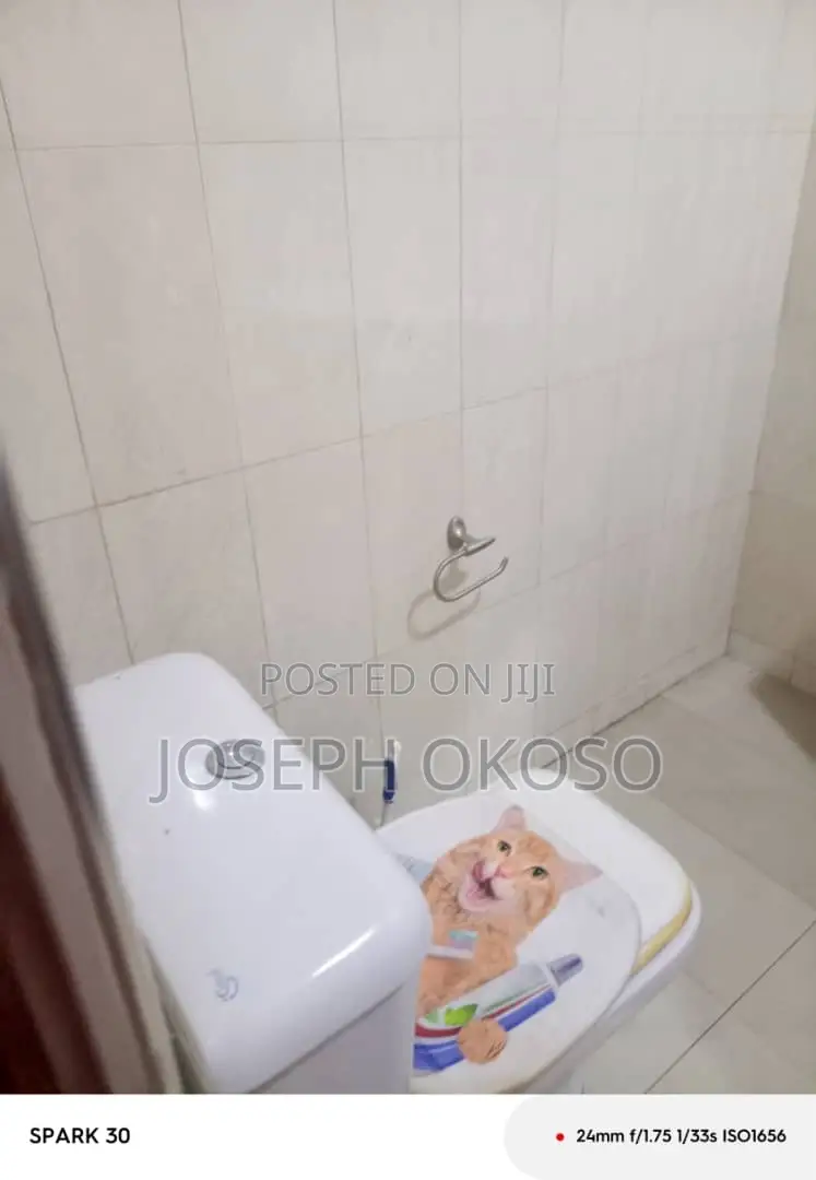 4bdrm House in Little Rock Consult, Dzorwulu for rent