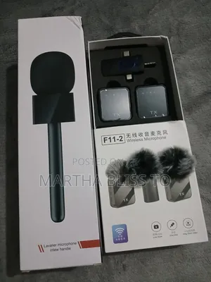 Wireless Lapel Microphone + Microphone Stick