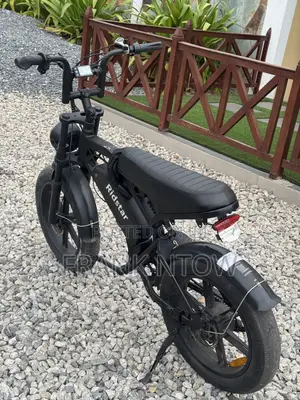 German Used V20 Pro Ebike