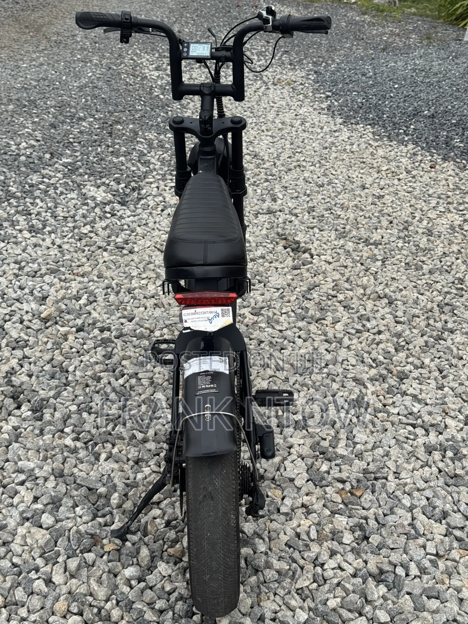 German Used V20 Pro Ebike