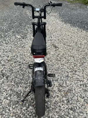 German Used V20 Pro Ebike