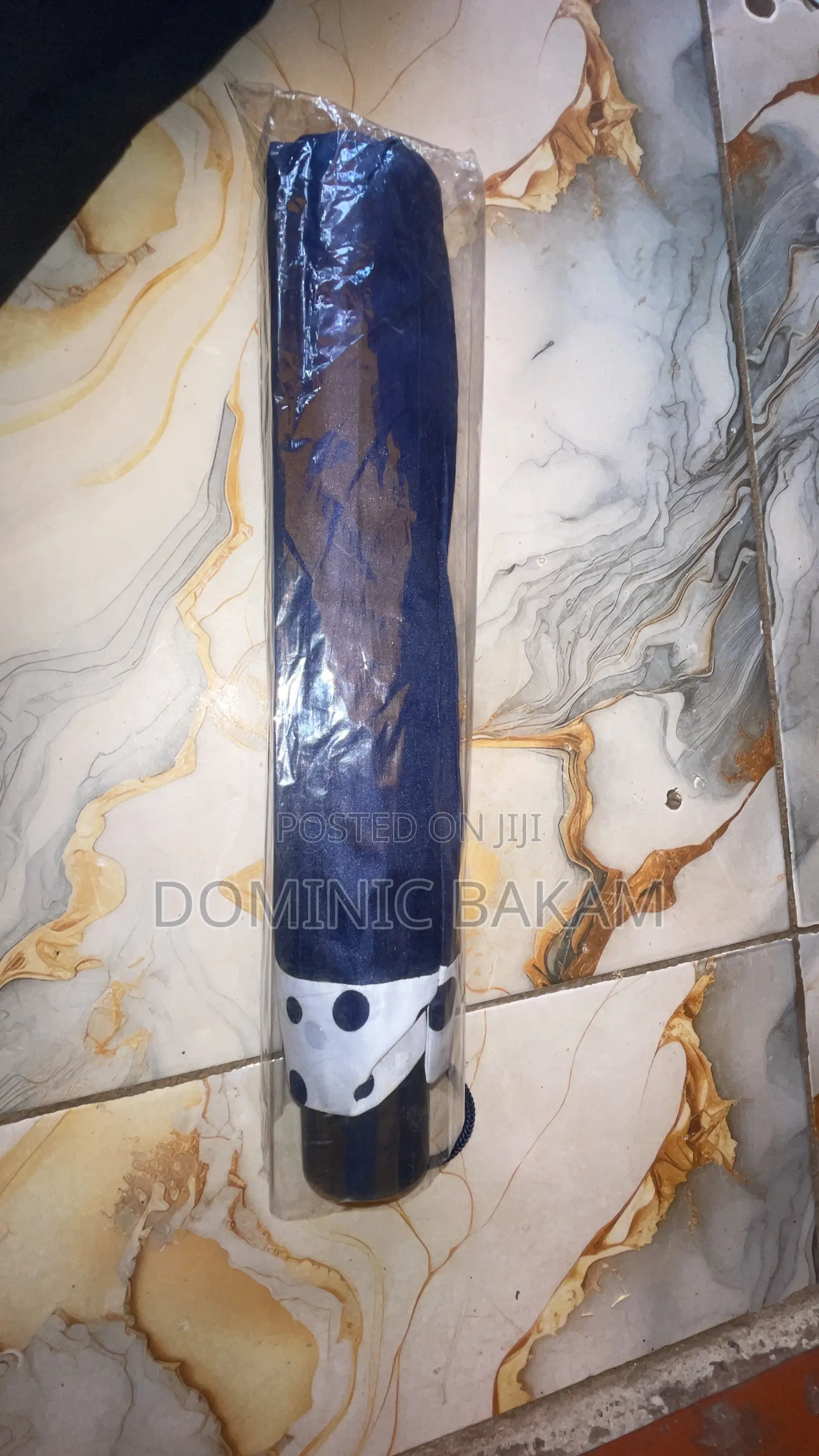 Fold Umbrella