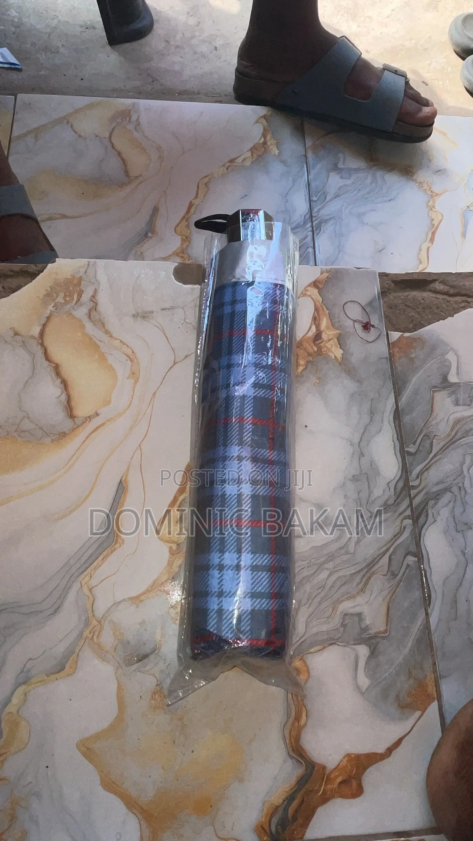 Fold Umbrella