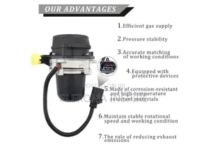 Toyota, Lexus,Porsche Etc Air Injection Pump