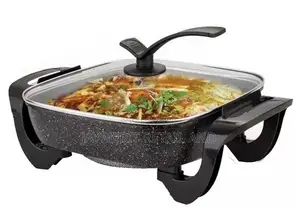 Electric Cooking Pot