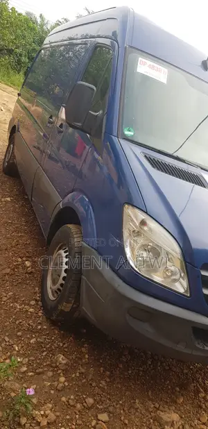 Mercedes-Benz Sprinter 2009 Blue