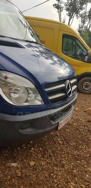 Mercedes-Benz Sprinter 2009 Blue