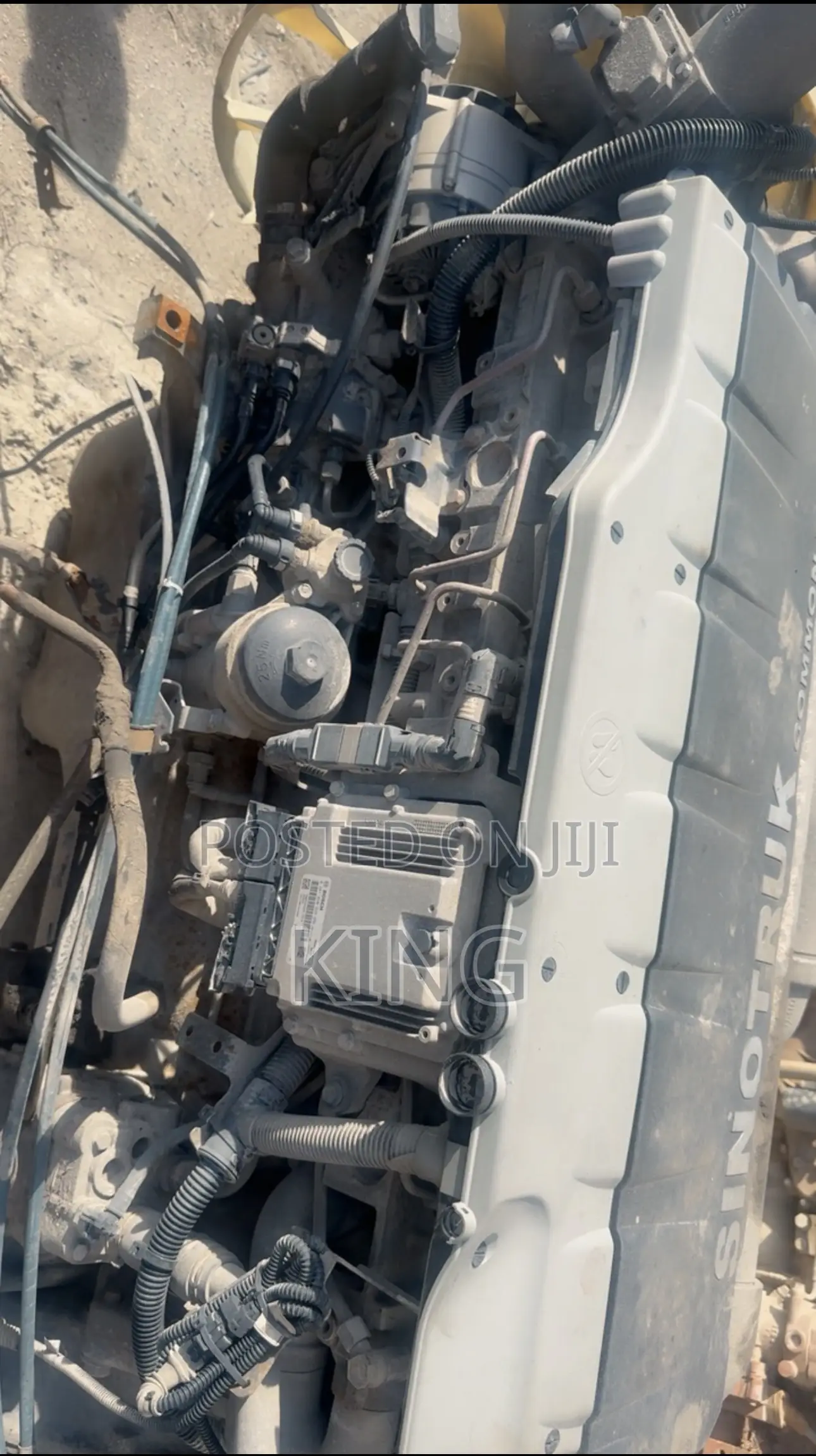 Sinotruck Common Rail Engine