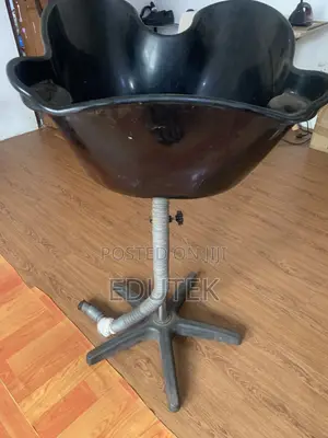 Portable Salon Backwash Shampoo