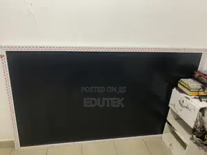 Large Salon Mirror