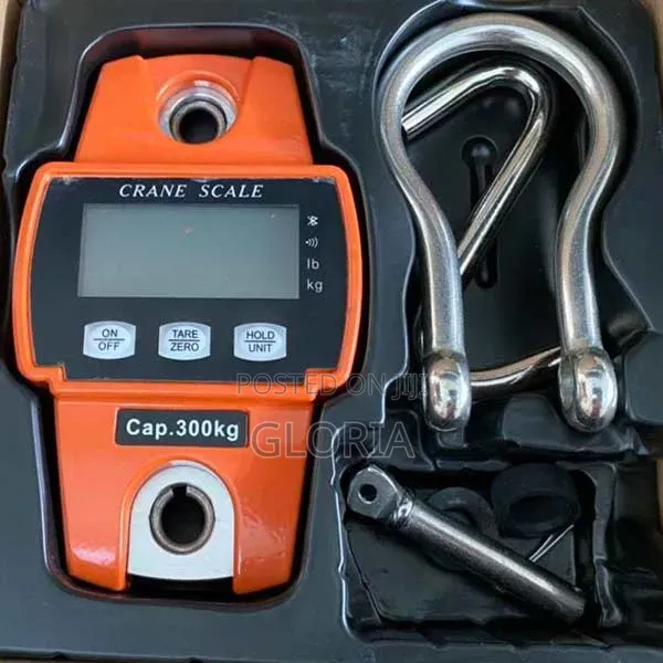 Crane Scale