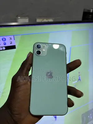 Apple iPhone 11 256 GB Green