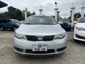 Kia Forte 2013 Silver
