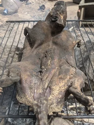Grasscutter Meat on Fire