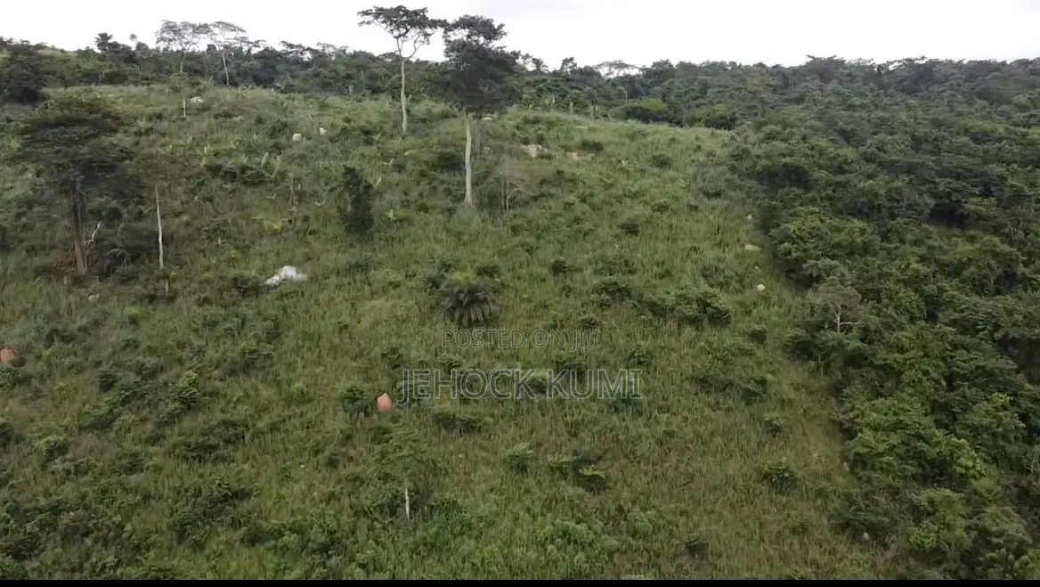 Farmland for Sale