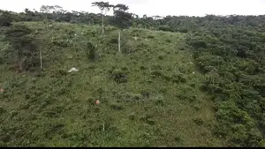 Farmland for Sale