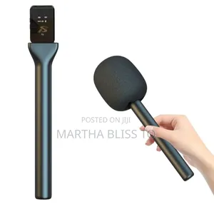 Wireless Microphone Stick With Cock
