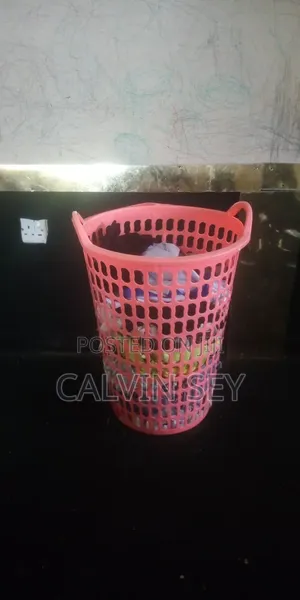 Laundry and Cleaning Services
