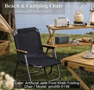 Camping Beach Folding Chair