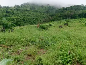 Farmland for Sale