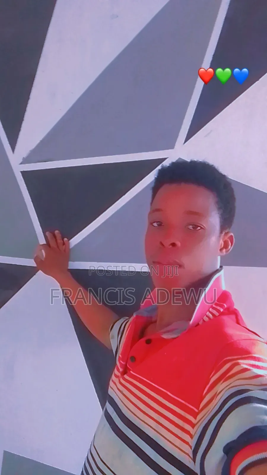Painting Professional