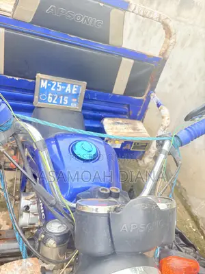 Apsonic AP150-20 2025 Blue