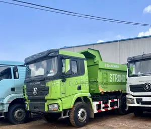 Shacman Strong Machine Tippers 10/12 Wheeler
