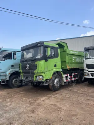Shacman Strong Machine Tippers 10/12 Wheeler