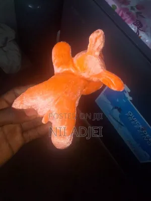 Orange Dog