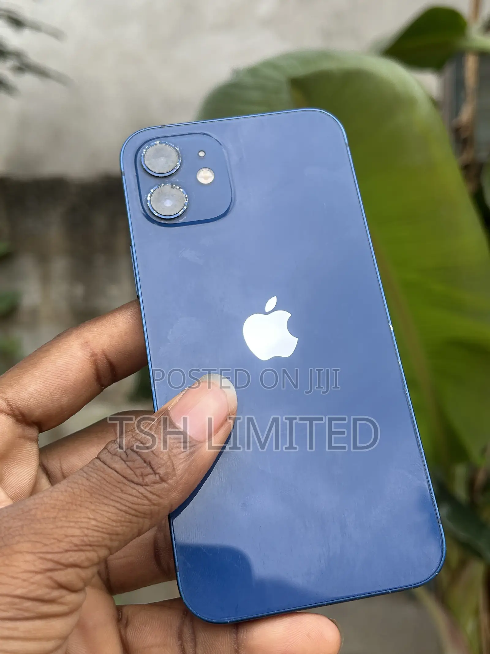 Apple iPhone 12 64 GB Blue