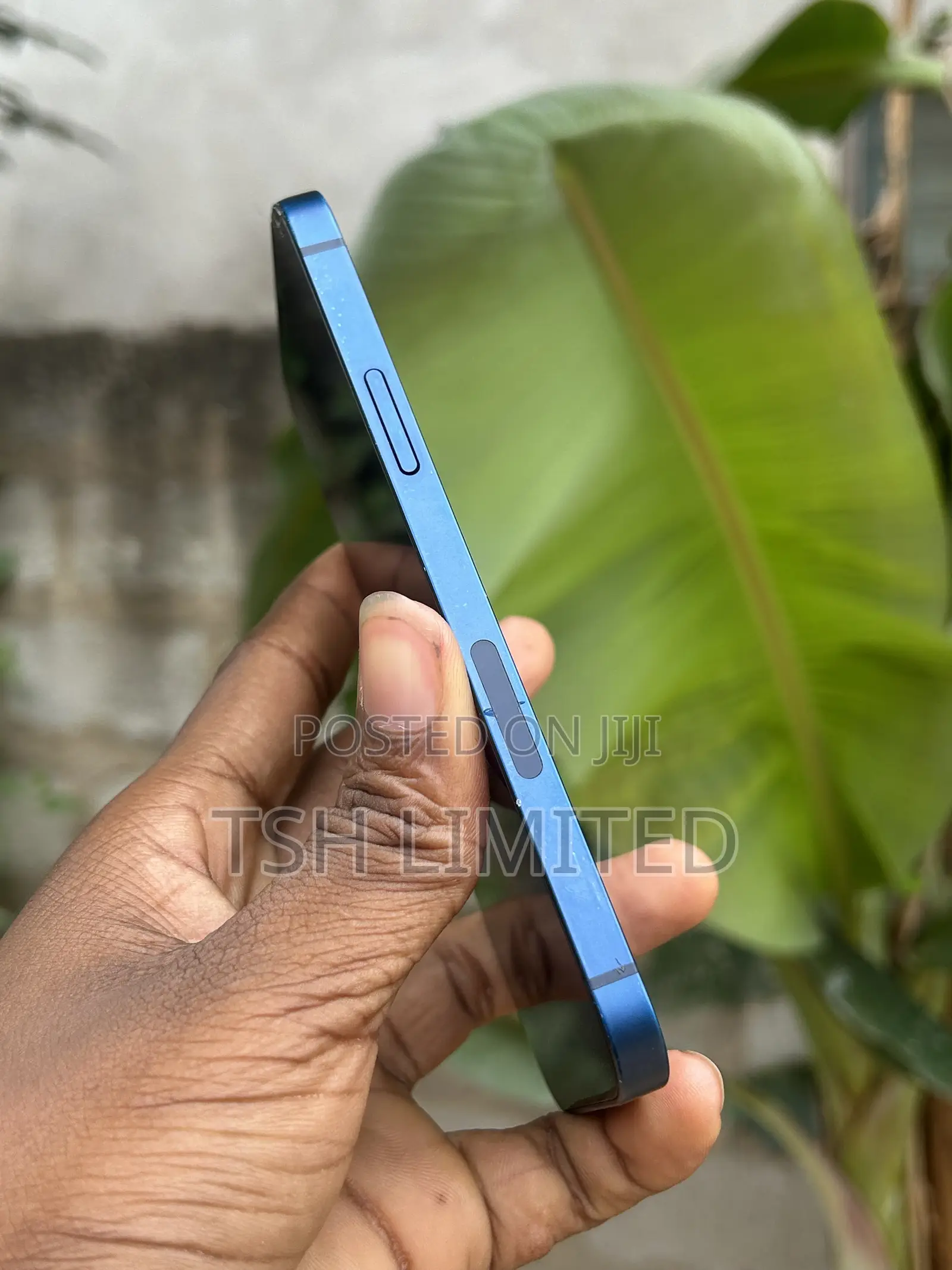 Apple iPhone 12 64 GB Blue