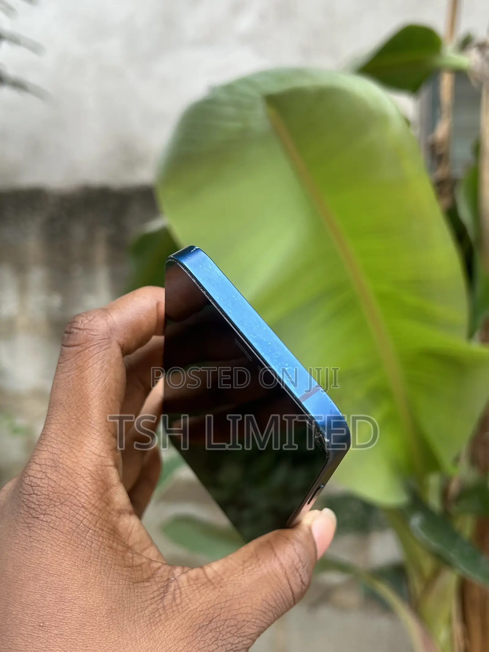 Apple iPhone 12 64 GB Blue