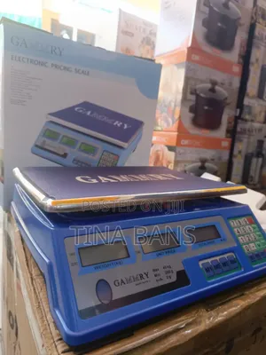 Gammry Electronic Pricing Scale