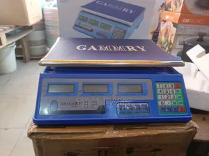 Gammry Electronic Pricing Scale