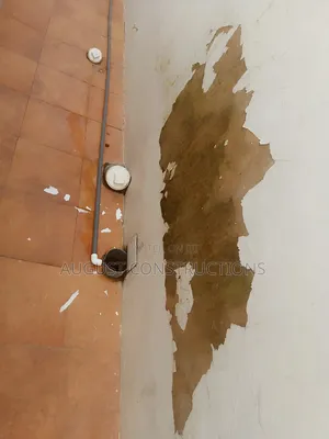 Dampness Treatment