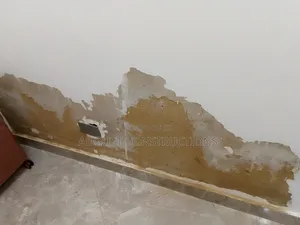 Dampness Treatment