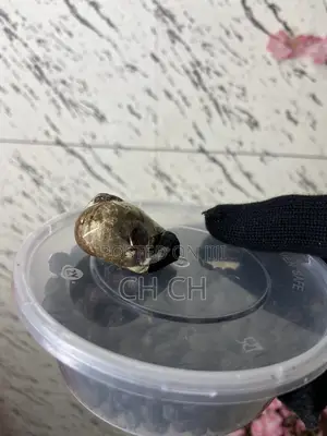 100% Effective Love Spell Women Kayamatan Bedianko and Vagina Tighten