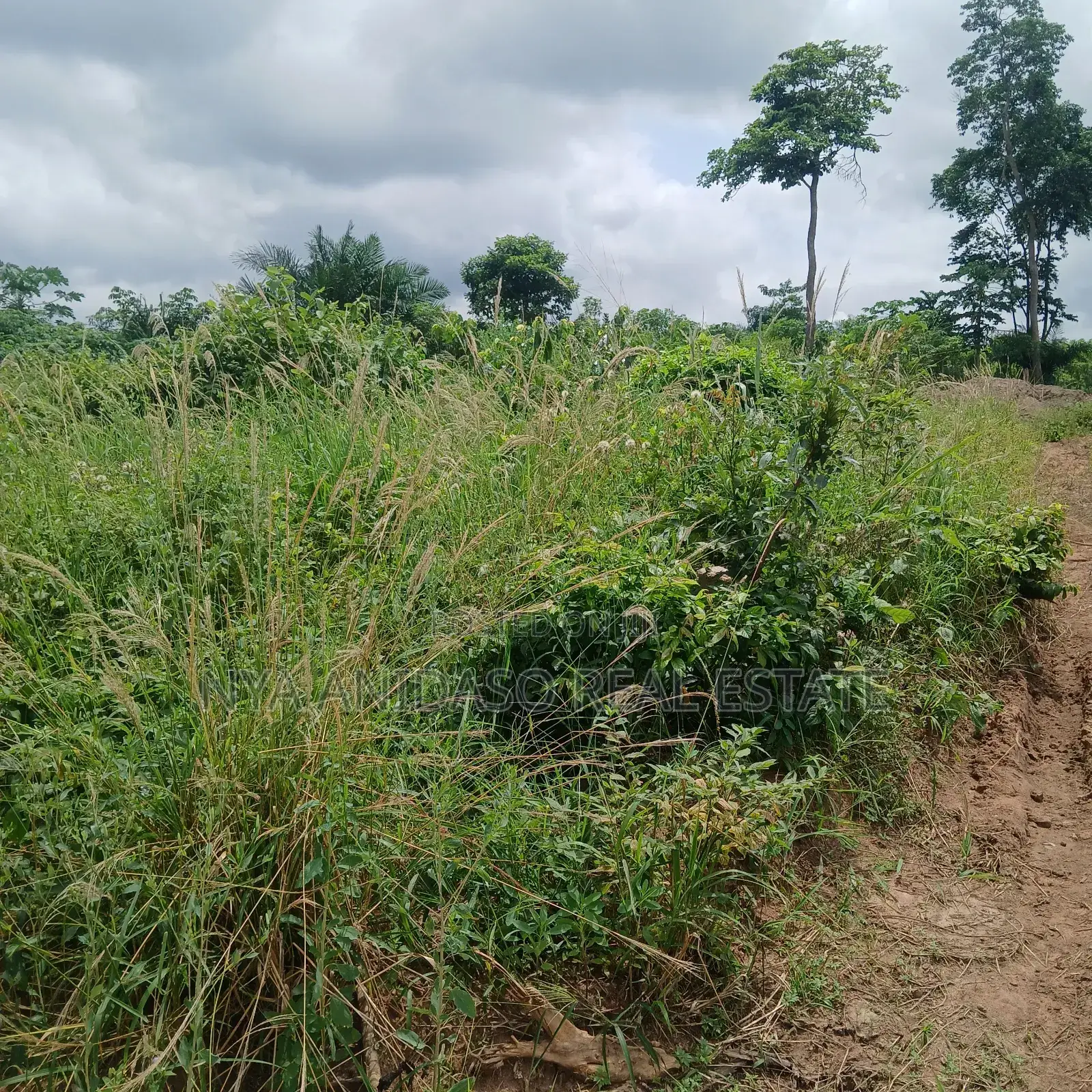 Land for Sale