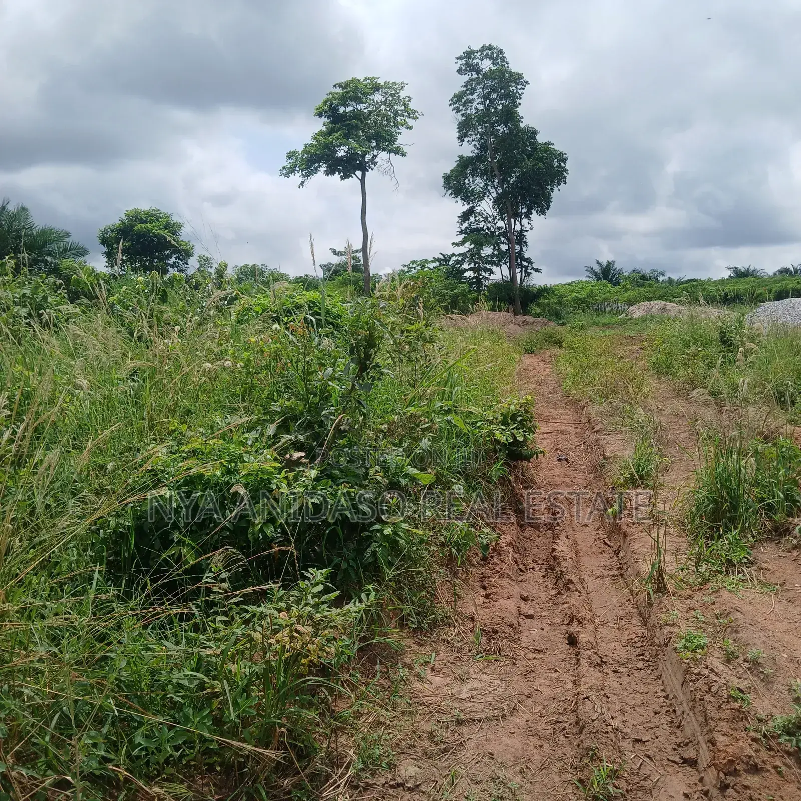 Land for Sale