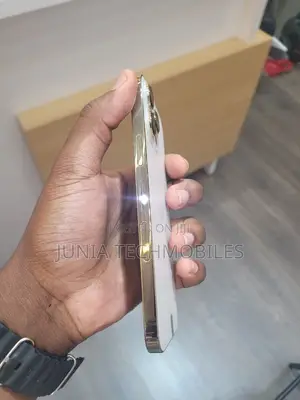 Apple iPhone 13 Pro Max 256 GB Rose Gold