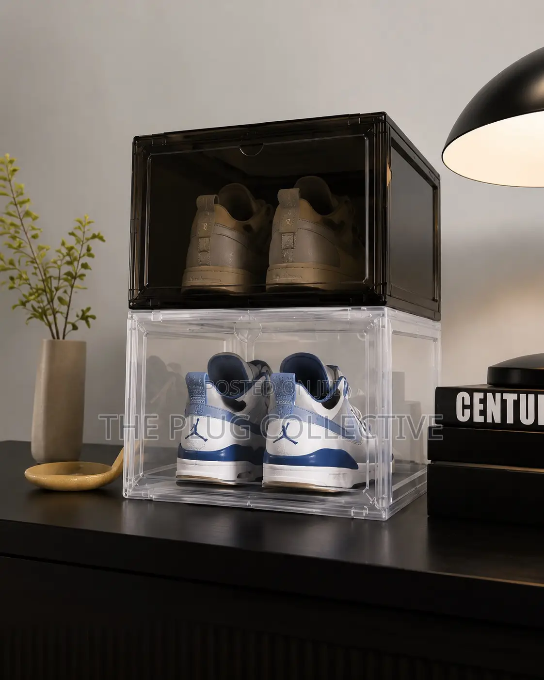 Plastic Shoe Box