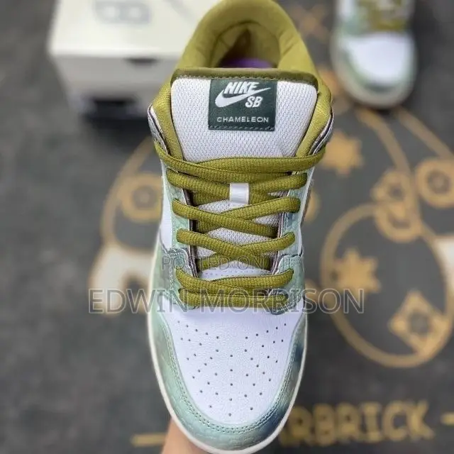 Nike Sb Sneakers. Reptile