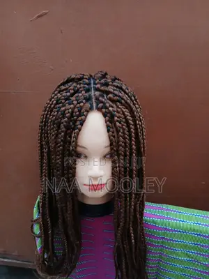 Braided Wig With Closure
