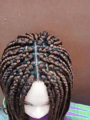 Braided Wig With Closure