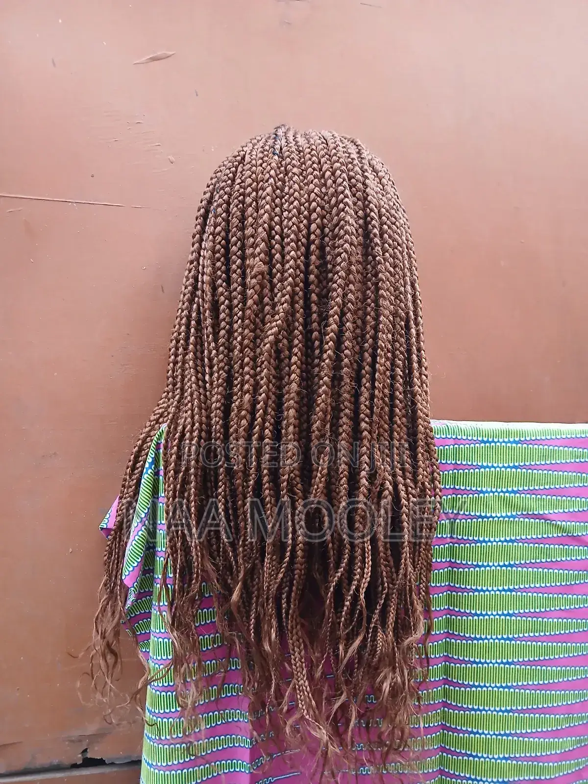 Braided Wig With Closure