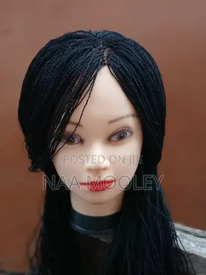 Braided Mini Twist Wig