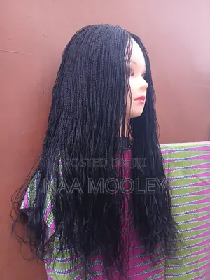 Braided Mini Twist Wig